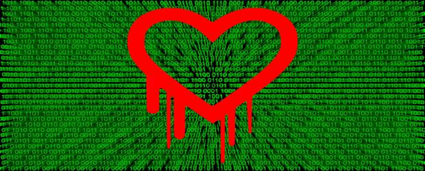 Heartbleed Graphic